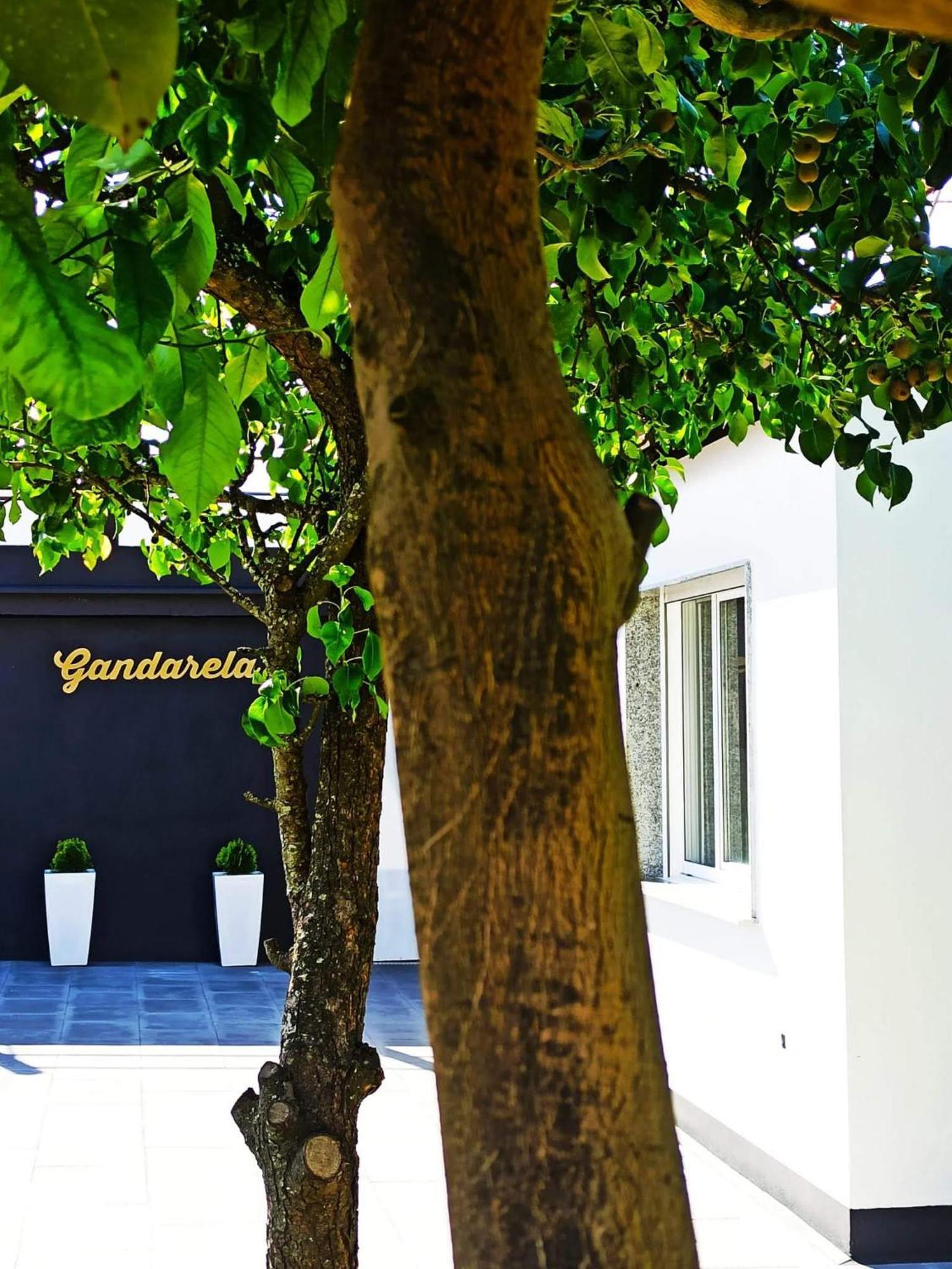 Apartamentos Vut Gandarela Sanxenxo Εξωτερικό φωτογραφία